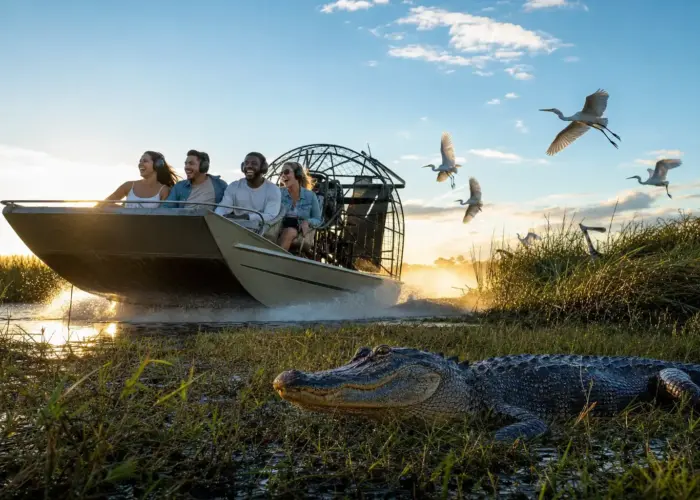 Excursión a los EVERGLADES desde Miami Beach